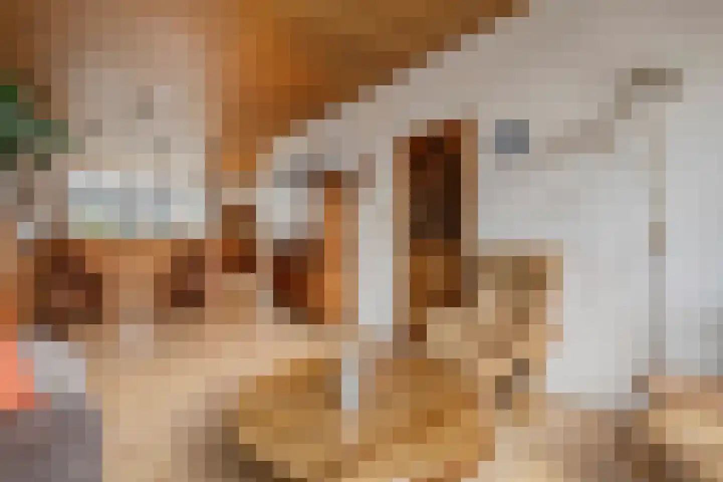 Buitenkwartier 83 Zwartsluis thumbnail 7