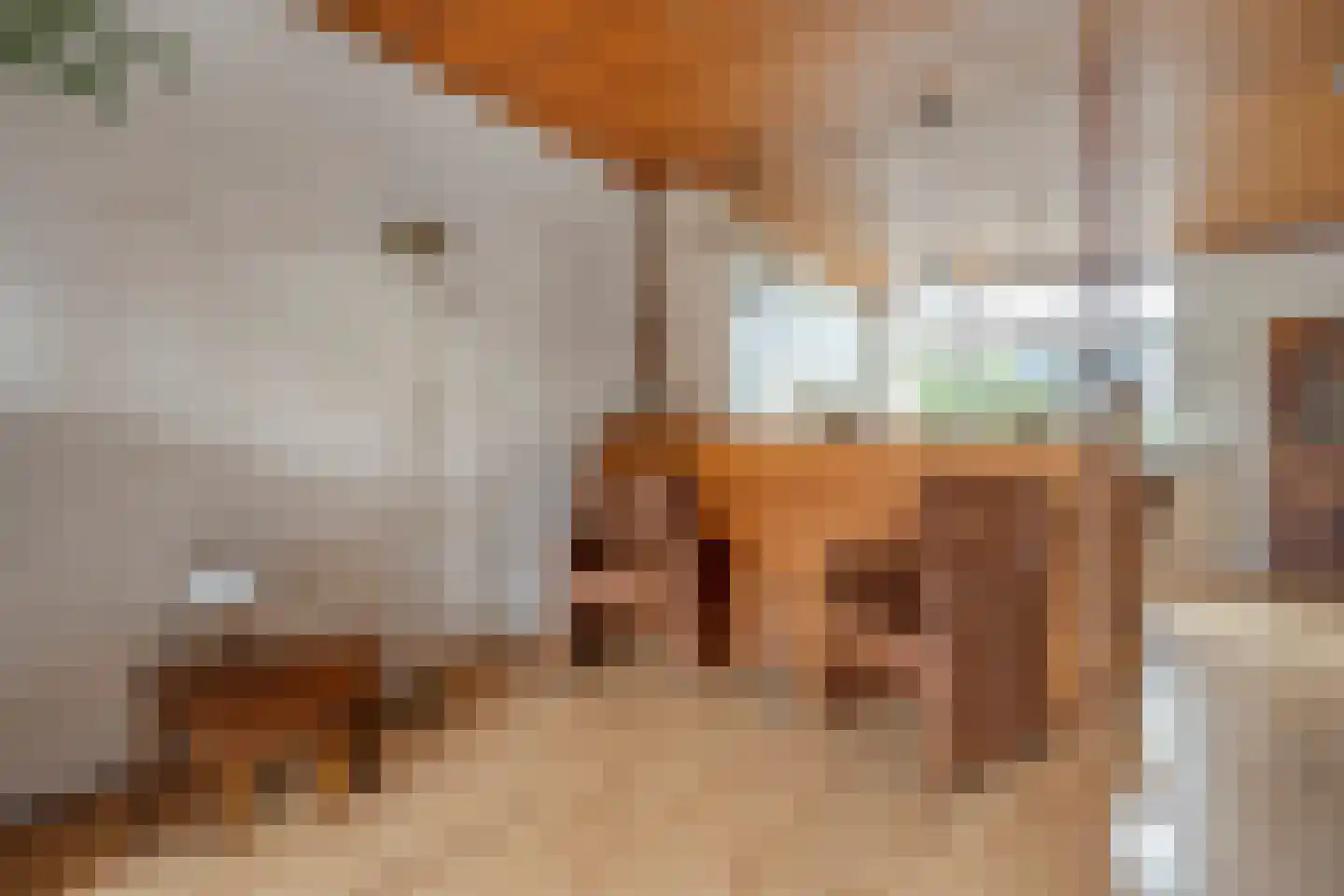Buitenkwartier 83 Zwartsluis thumbnail 8