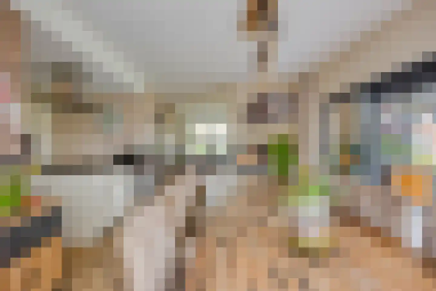 Buitenkwartier 86 Zwartsluis thumbnail 23