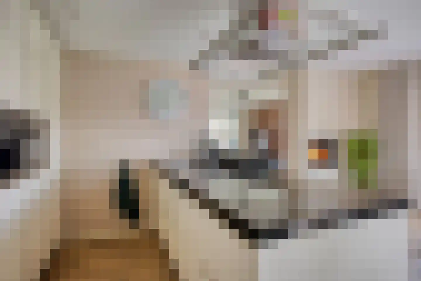 Buitenkwartier 86 Zwartsluis thumbnail 25