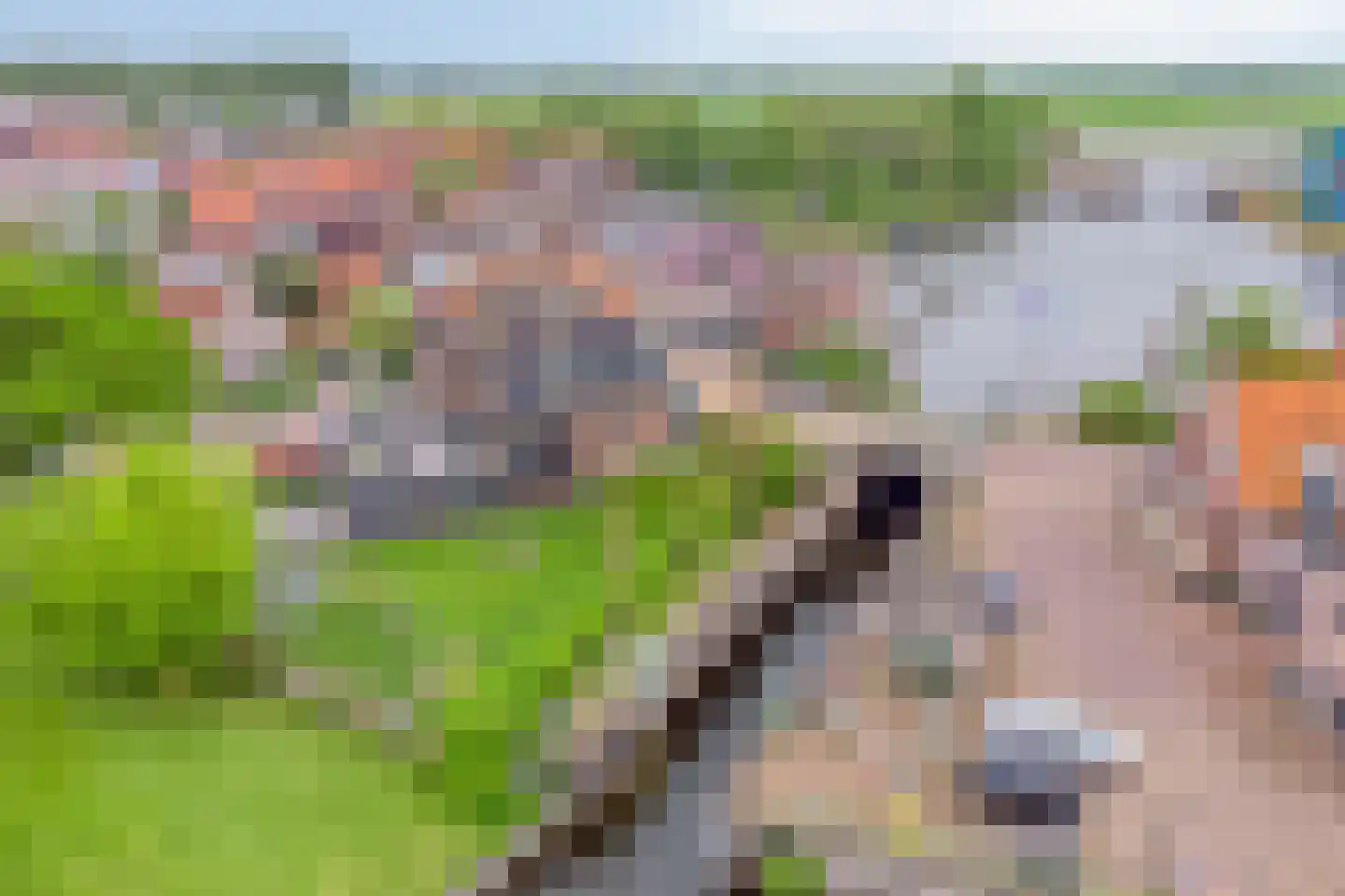 Buitenkwartier 86 Zwartsluis thumbnail 5