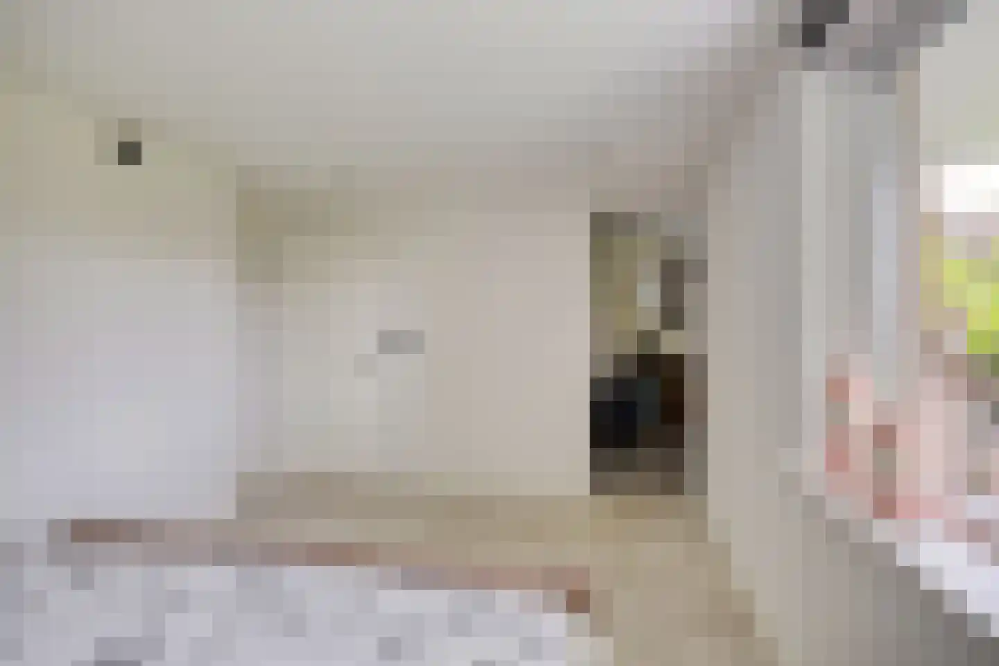Buitenkwartier 86 Zwartsluis thumbnail 58