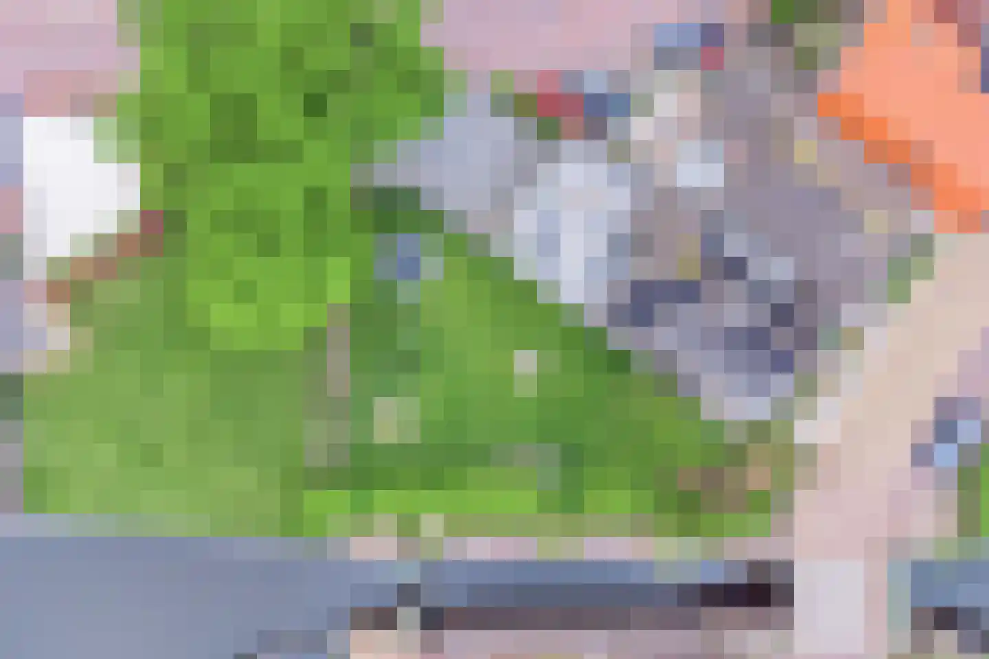 Buitenkwartier 86 Zwartsluis thumbnail 77