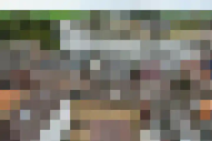 Buitenkwartier 97 Zwartsluis thumbnail 10