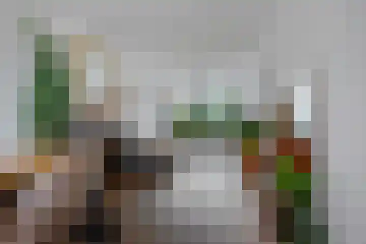Buitenkwartier 97 Zwartsluis thumbnail 14