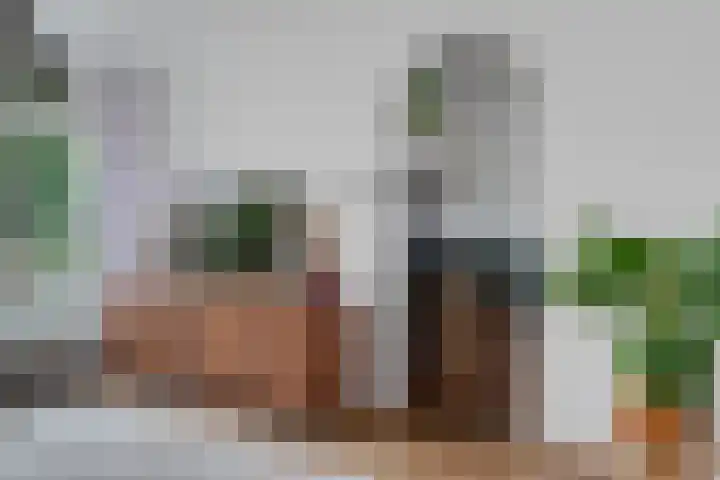 Buitenkwartier 97 Zwartsluis thumbnail 18
