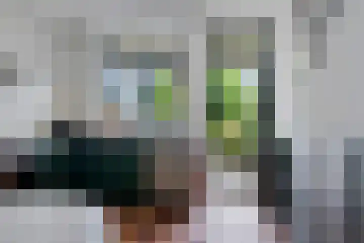 Buitenkwartier 97 Zwartsluis thumbnail 21