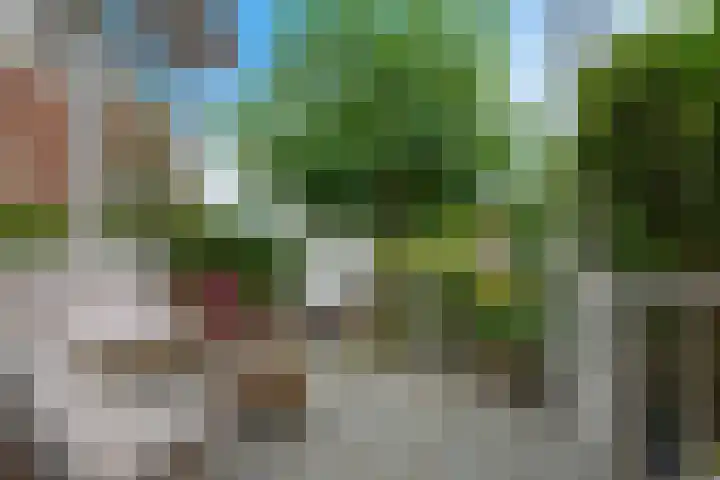 Buitenkwartier 97 Zwartsluis thumbnail 22