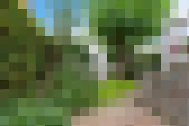Buitenkwartier 97 Zwartsluis thumbnail 25