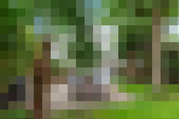 Buitenkwartier 97 Zwartsluis thumbnail 26