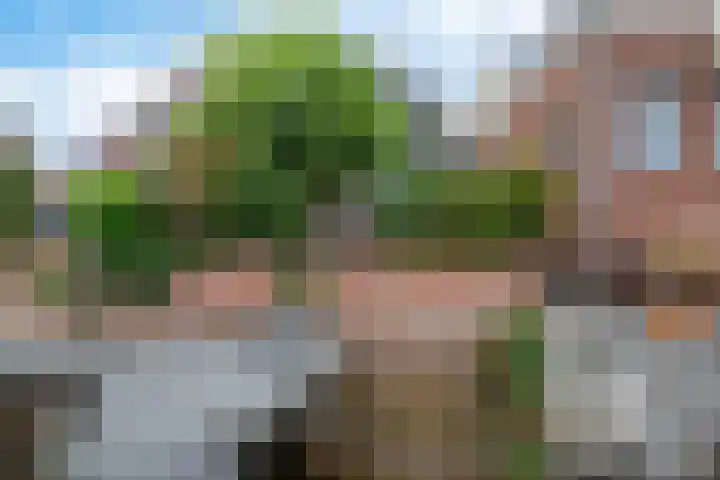 Buitenkwartier 97 Zwartsluis thumbnail 27