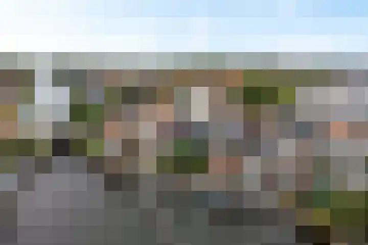 Buitenkwartier 97 Zwartsluis thumbnail 28