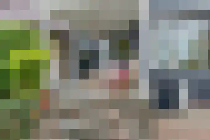 Buitenkwartier 97 Zwartsluis thumbnail 31