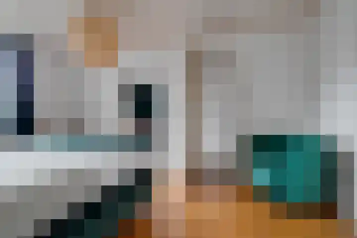Buitenkwartier 97 Zwartsluis thumbnail 44