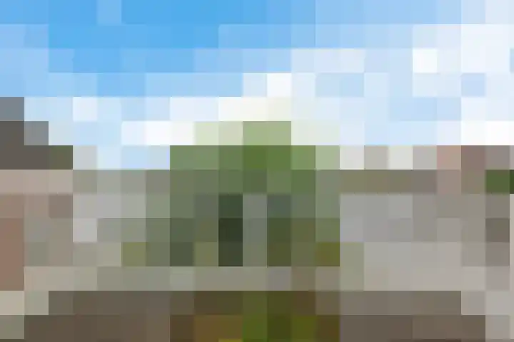 Buitenkwartier 97 Zwartsluis thumbnail 49