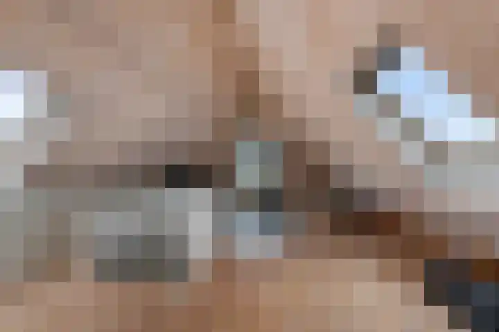 Buitenkwartier 97 Zwartsluis thumbnail 51