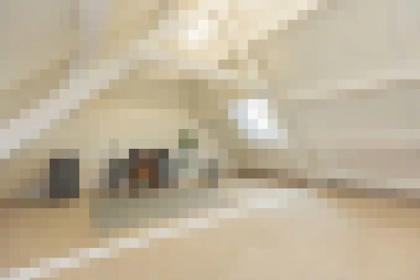 Buitenlanden 2 Heinenoord thumbnail 26