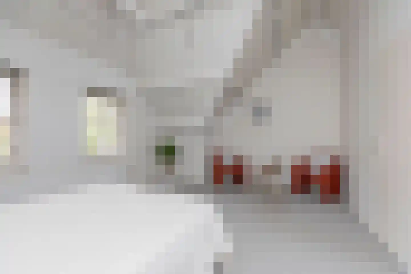Buitenlanden 2 Heinenoord thumbnail 38