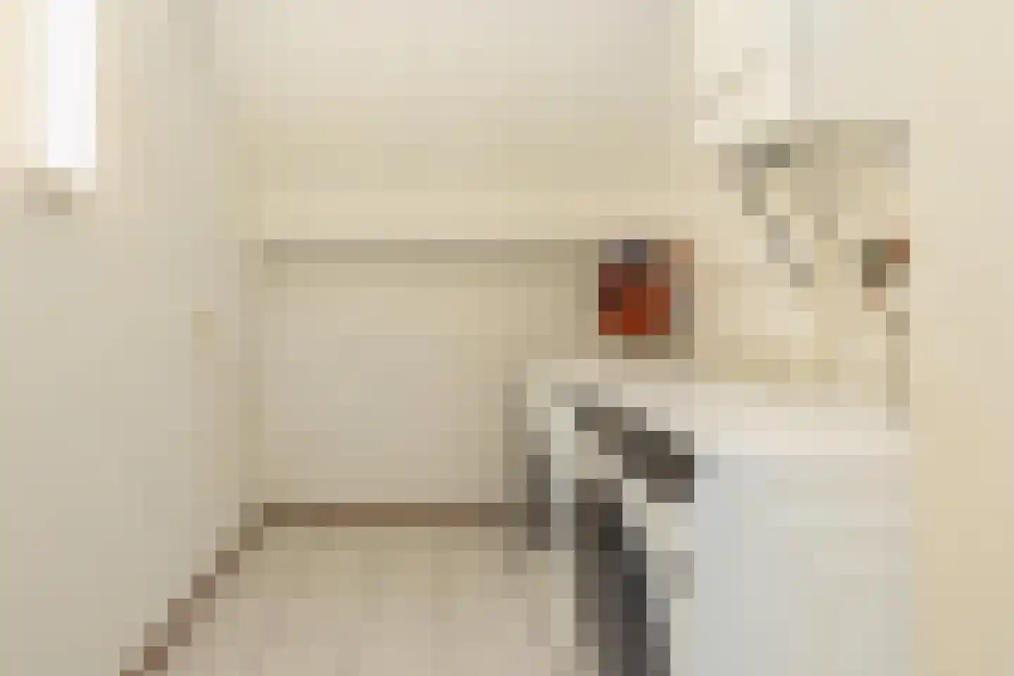 Buitenlanden 2 Heinenoord thumbnail 39