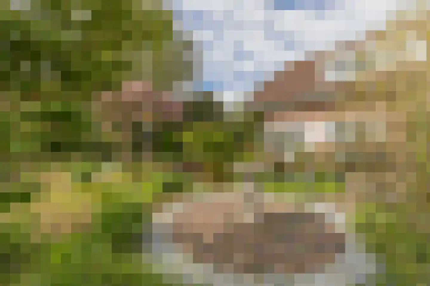 Buitenlanden 2 Heinenoord thumbnail 40
