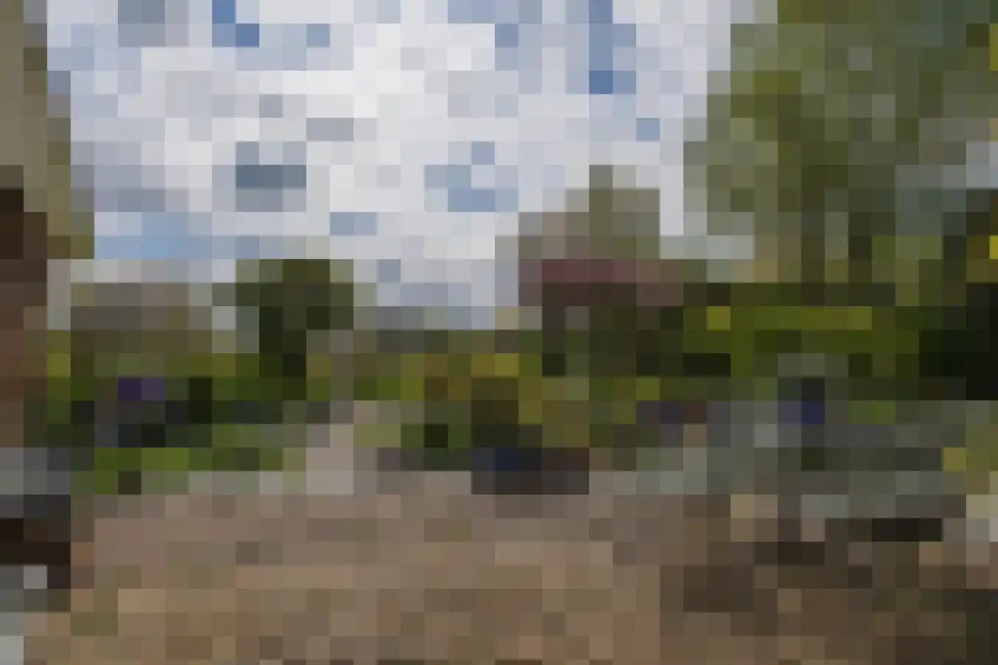 Buitenlanden 2 Heinenoord thumbnail 41