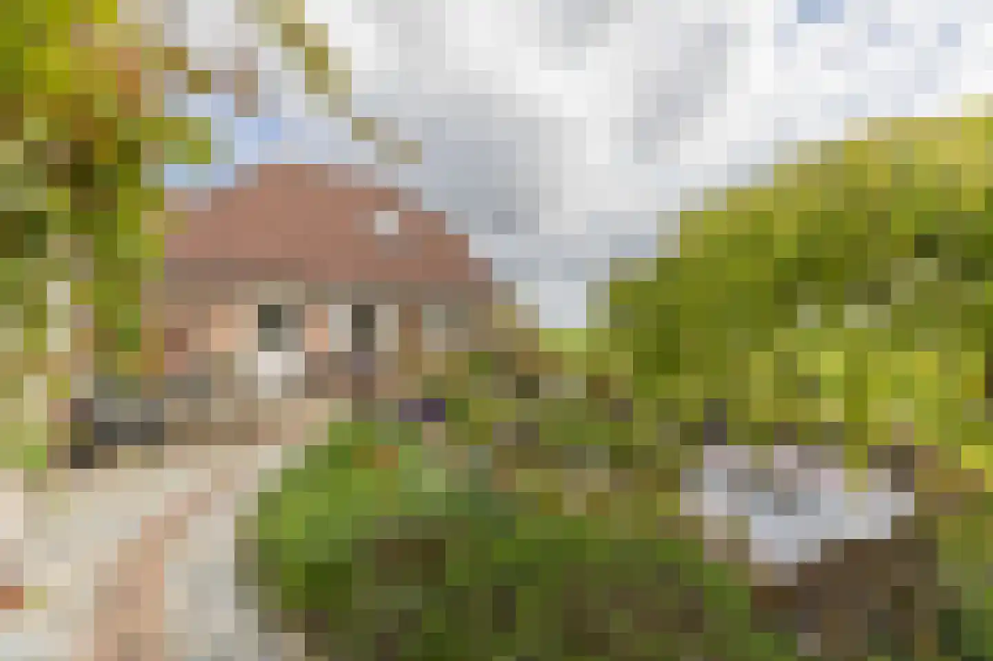 Buitenlanden 2 Heinenoord thumbnail 42