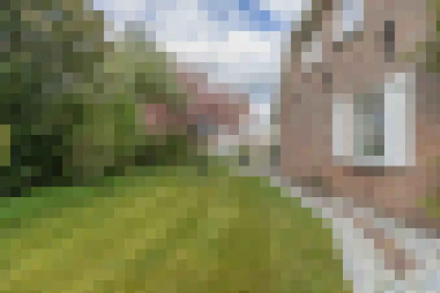 Buitenlanden 2 Heinenoord thumbnail 49