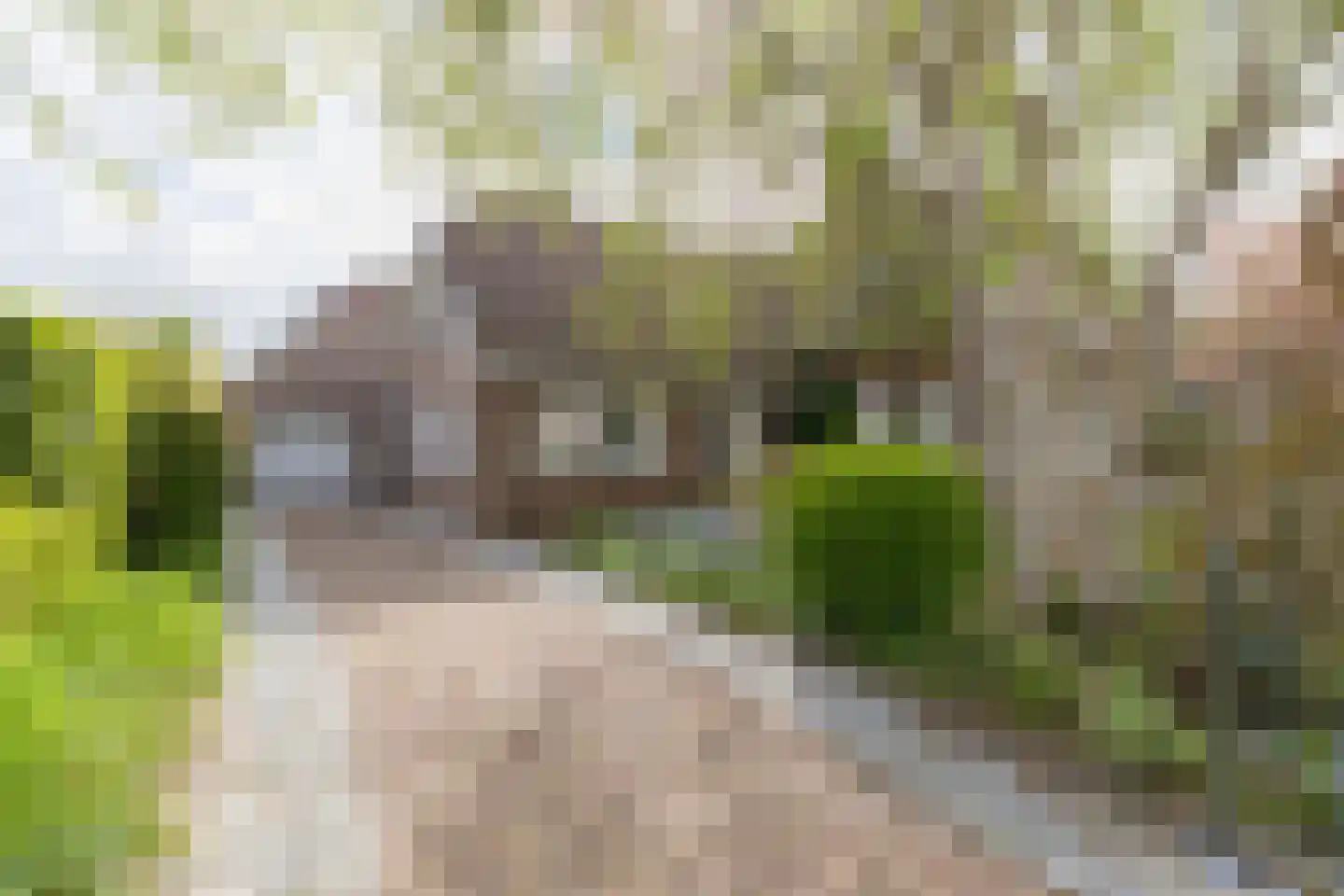Buitenlanden 2 Heinenoord thumbnail 51