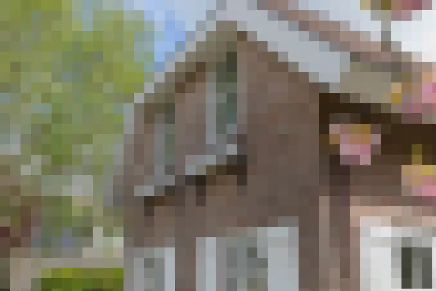 Buitenlanden 2 Heinenoord thumbnail 52