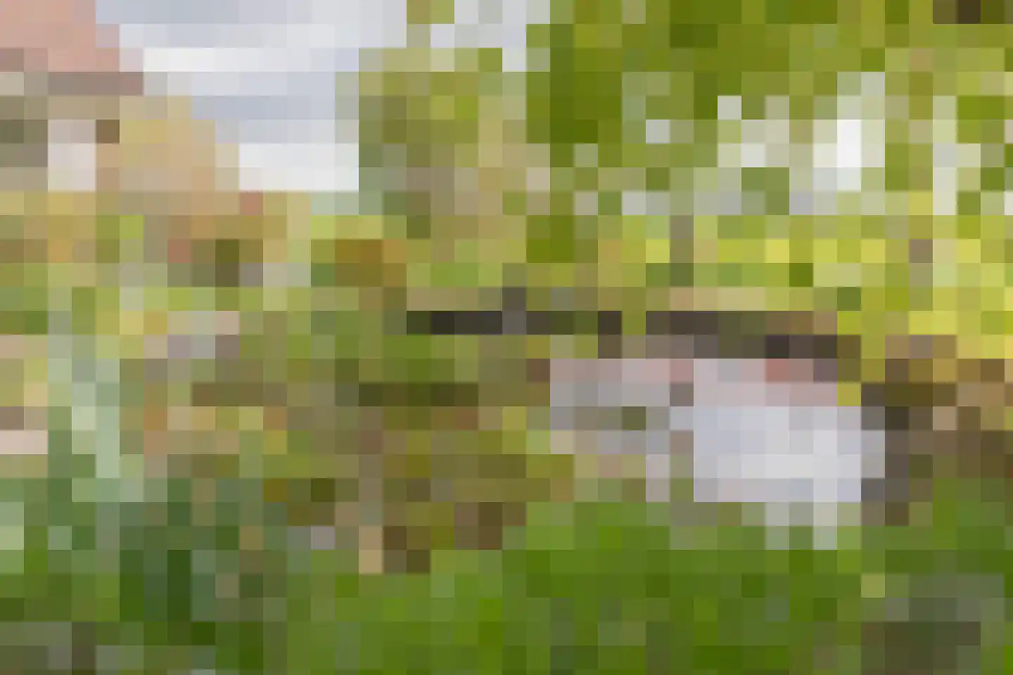 Buitenlanden 2 Heinenoord thumbnail 55