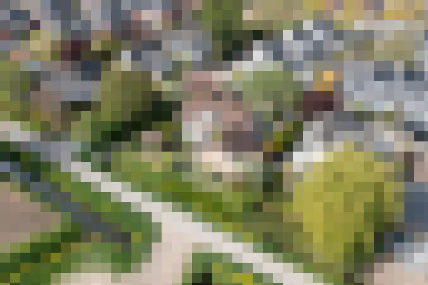 Buitenlanden 2 Heinenoord thumbnail 56