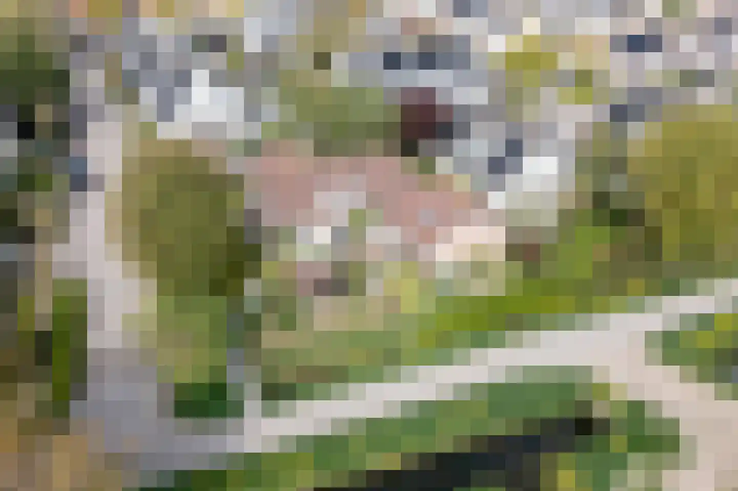 Buitenlanden 2 Heinenoord thumbnail 61