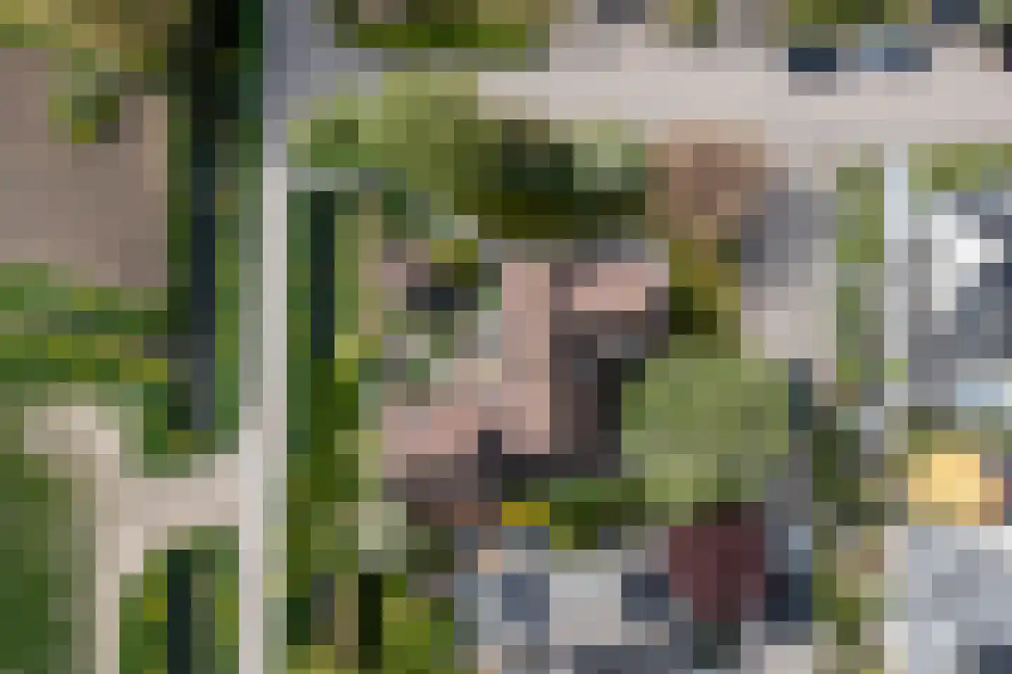 Buitenlanden 2 Heinenoord thumbnail 62