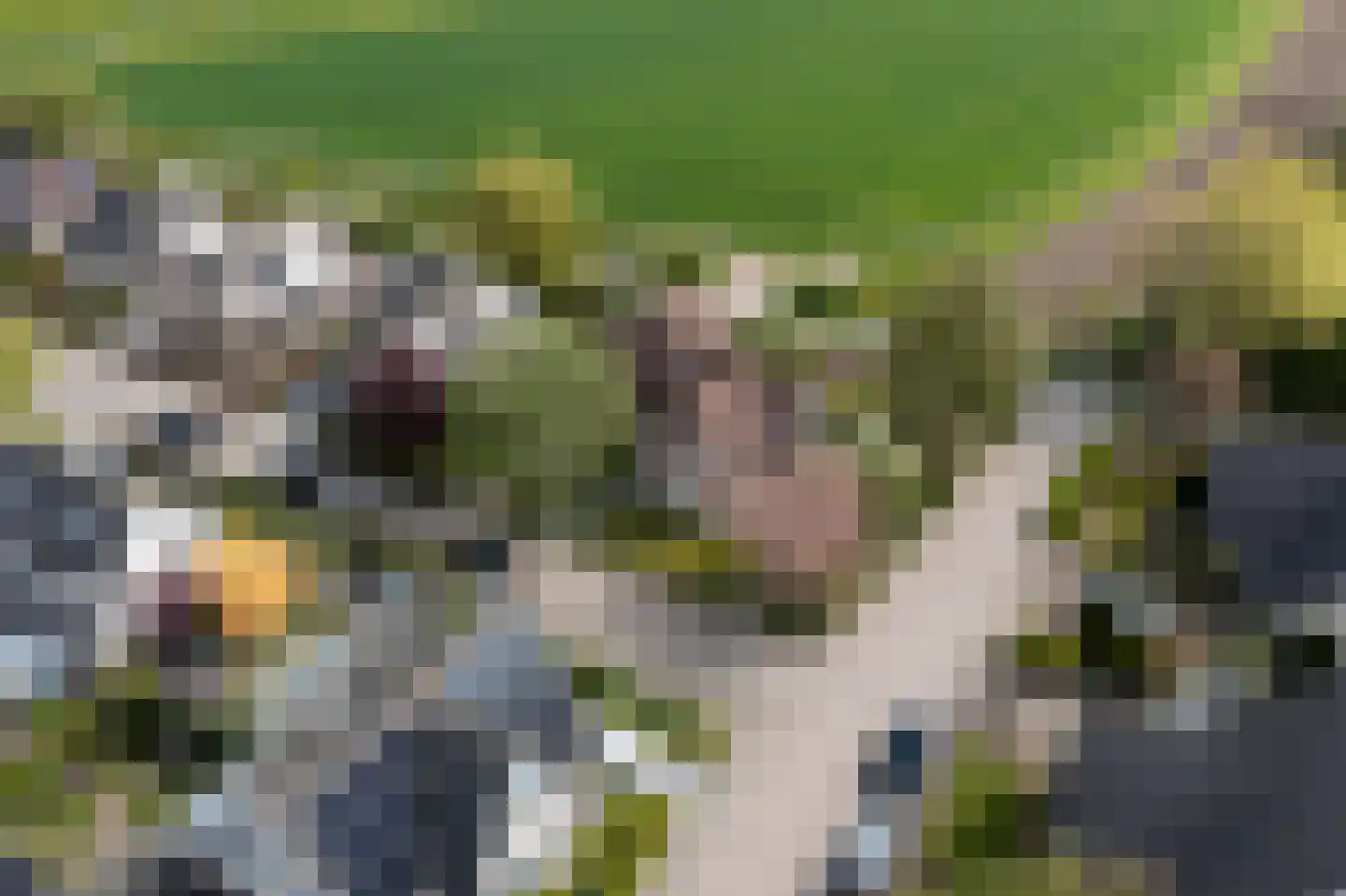Buitenlanden 2 Heinenoord thumbnail 63