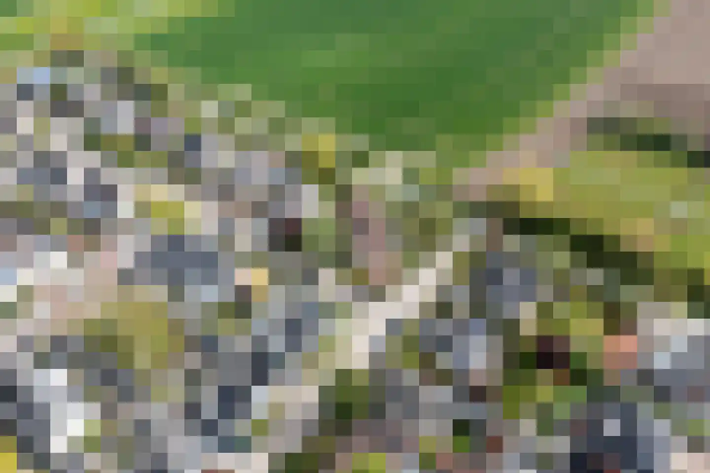 Buitenlanden 2 Heinenoord thumbnail 64