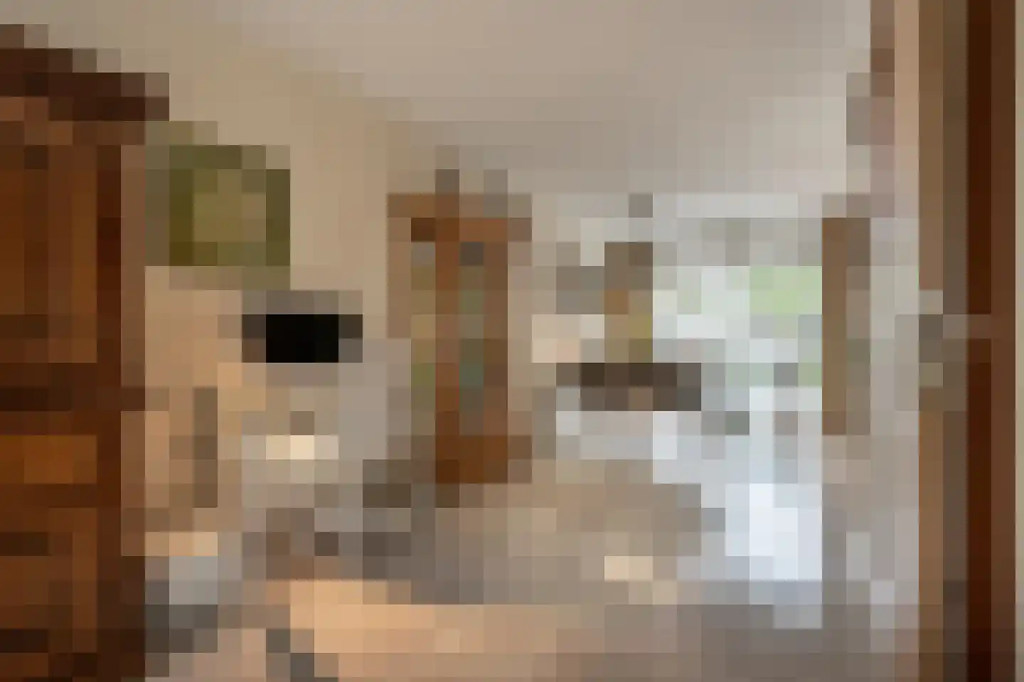 Buitenlanden 23 Heinenoord thumbnail 14