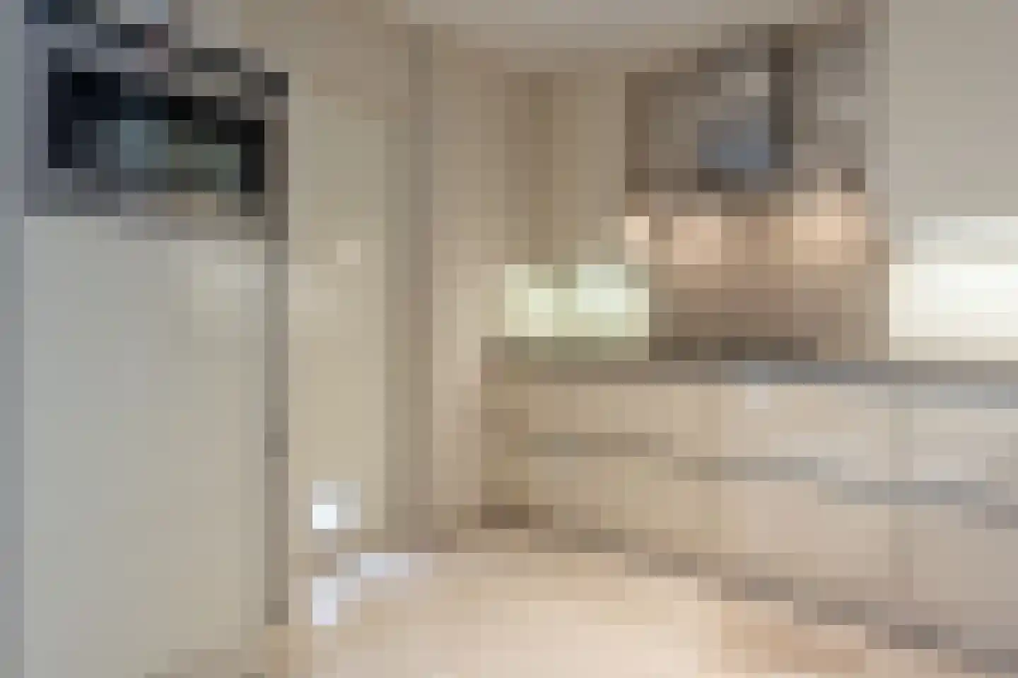 Buitenlanden 23 Heinenoord thumbnail 18