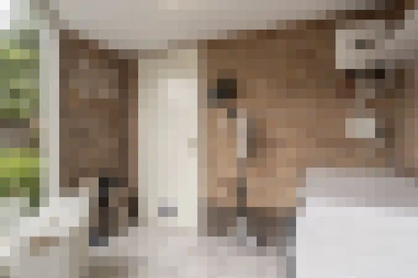 Buitenlanden 23 Heinenoord thumbnail 22