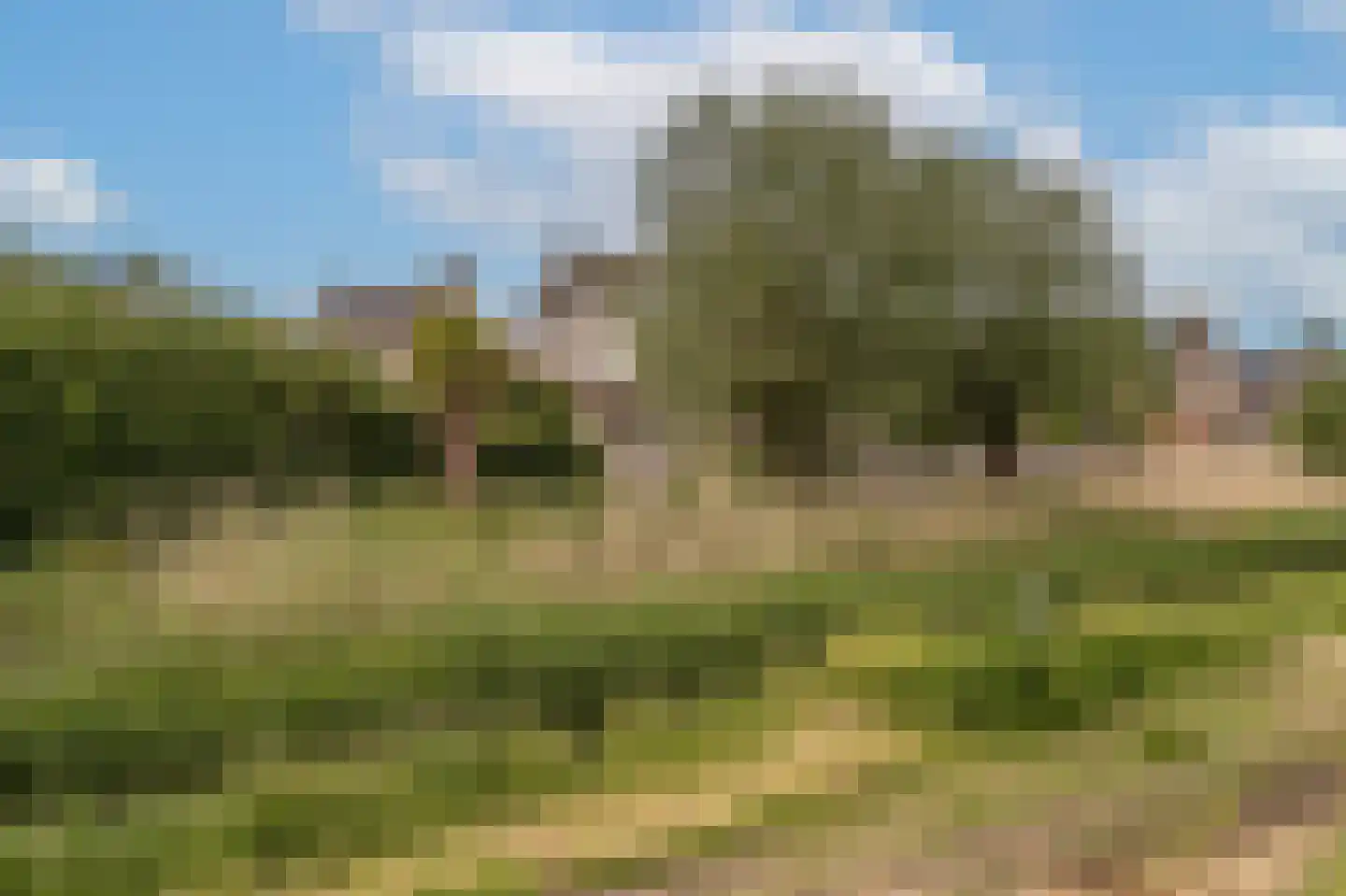 Buitenlanden 23 Heinenoord thumbnail 4