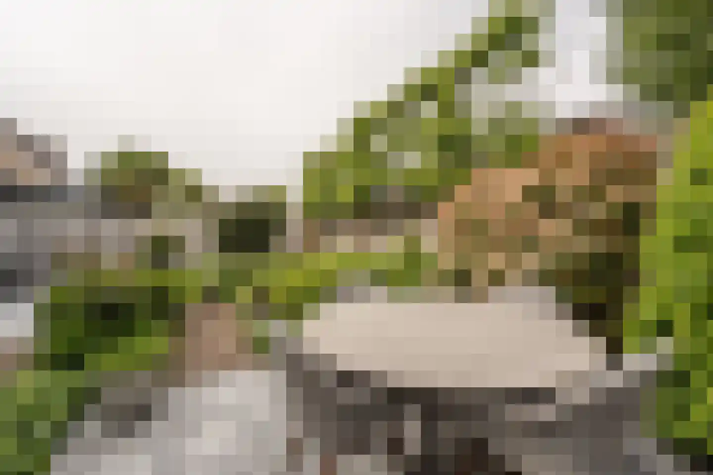 Buitenlanden 23 Heinenoord thumbnail 41