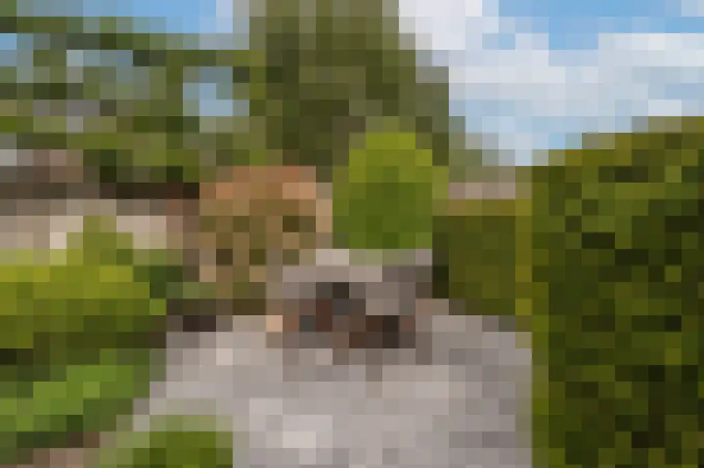 Buitenlanden 23 Heinenoord thumbnail 48