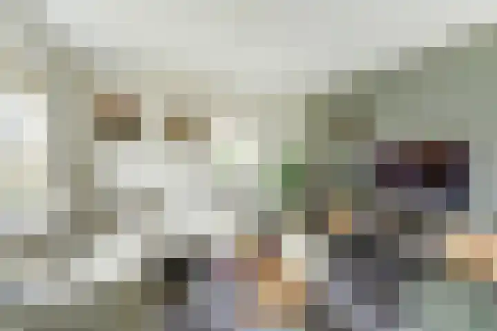 Buitenlanden 6 Heinenoord thumbnail 11