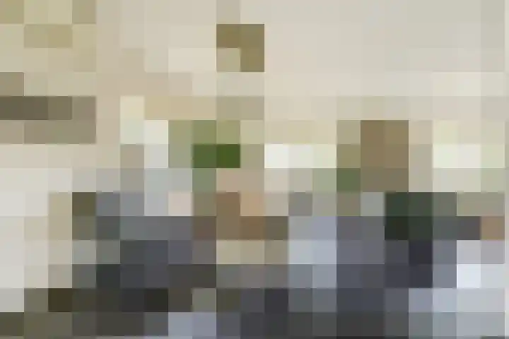 Buitenlanden 6 Heinenoord thumbnail 13