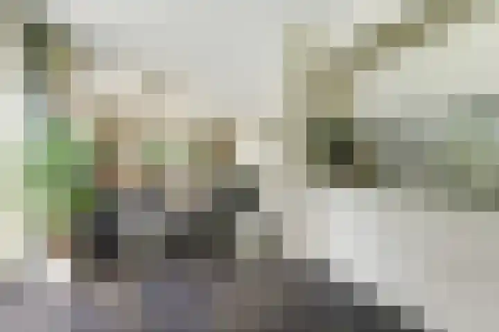 Buitenlanden 6 Heinenoord thumbnail 15