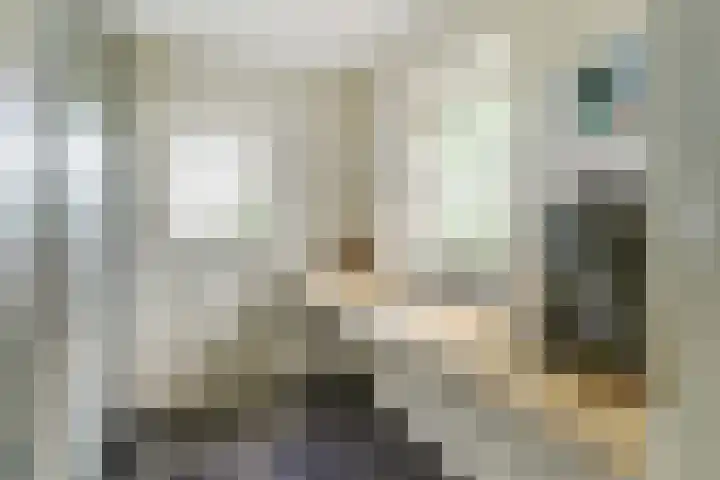 Buitenlanden 6 Heinenoord thumbnail 16