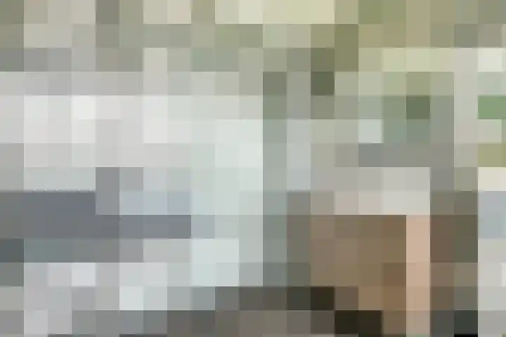Buitenlanden 6 Heinenoord thumbnail 27