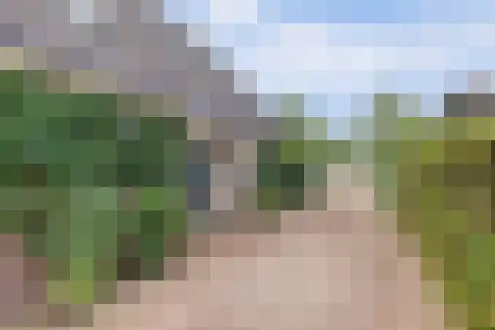 Buitenlanden 6 Heinenoord thumbnail 28