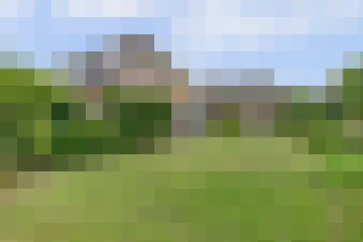 Buitenlanden 6 Heinenoord thumbnail 31
