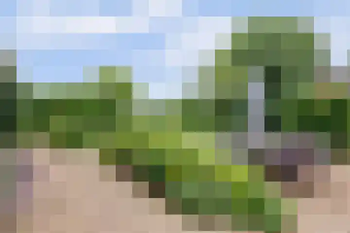 Buitenlanden 6 Heinenoord thumbnail 32