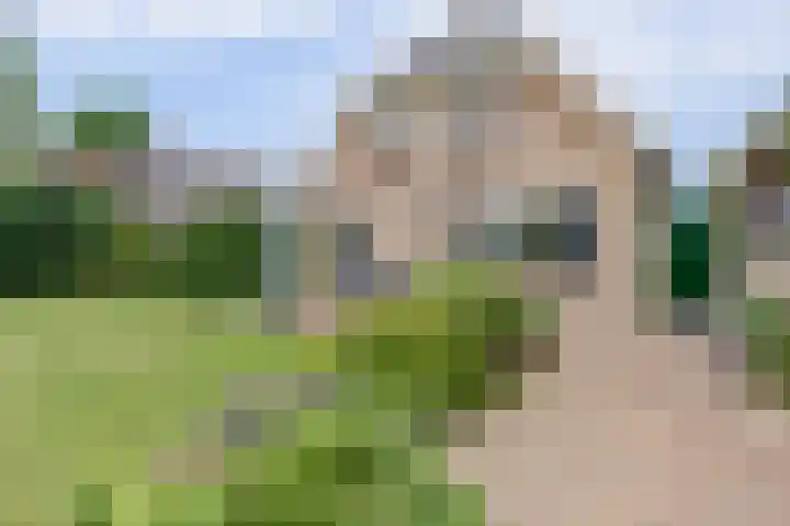 Buitenlanden 6 Heinenoord thumbnail 33